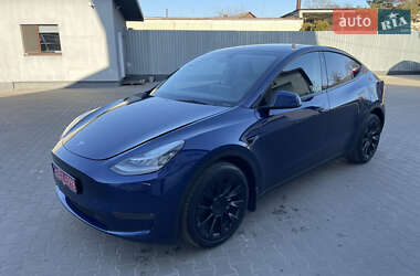 Позашляховик / Кросовер Tesla Model Y 2023 в Луцьку