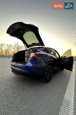 Позашляховик / Кросовер Tesla Model Y 2020 в 