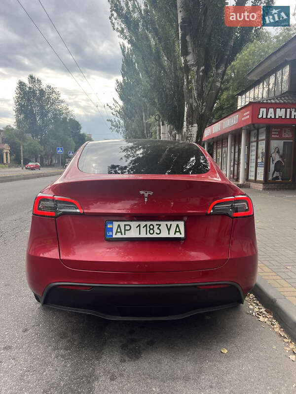 Внедорожник / Кроссовер Tesla Model Y 2023 в Запорожье