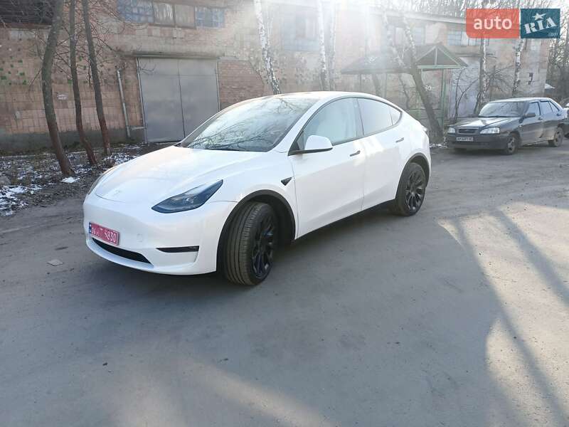 Внедорожник / Кроссовер Tesla Model Y 2023 в Житомире