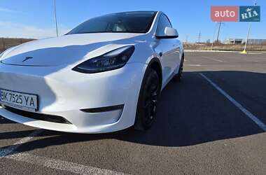 Позашляховик / Кросовер Tesla Model Y 2023 в Рівному