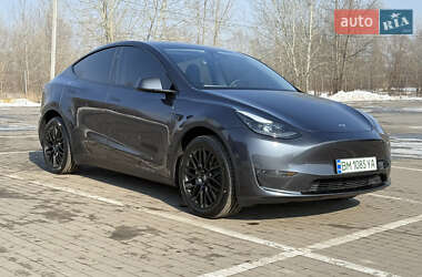 Внедорожник / Кроссовер Tesla Model Y 2024 в 