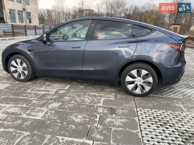 Внедорожник / Кроссовер Tesla Model Y 2023 в Самборе