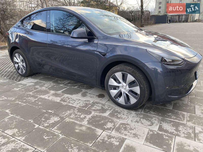 Внедорожник / Кроссовер Tesla Model Y 2023 в Самборе