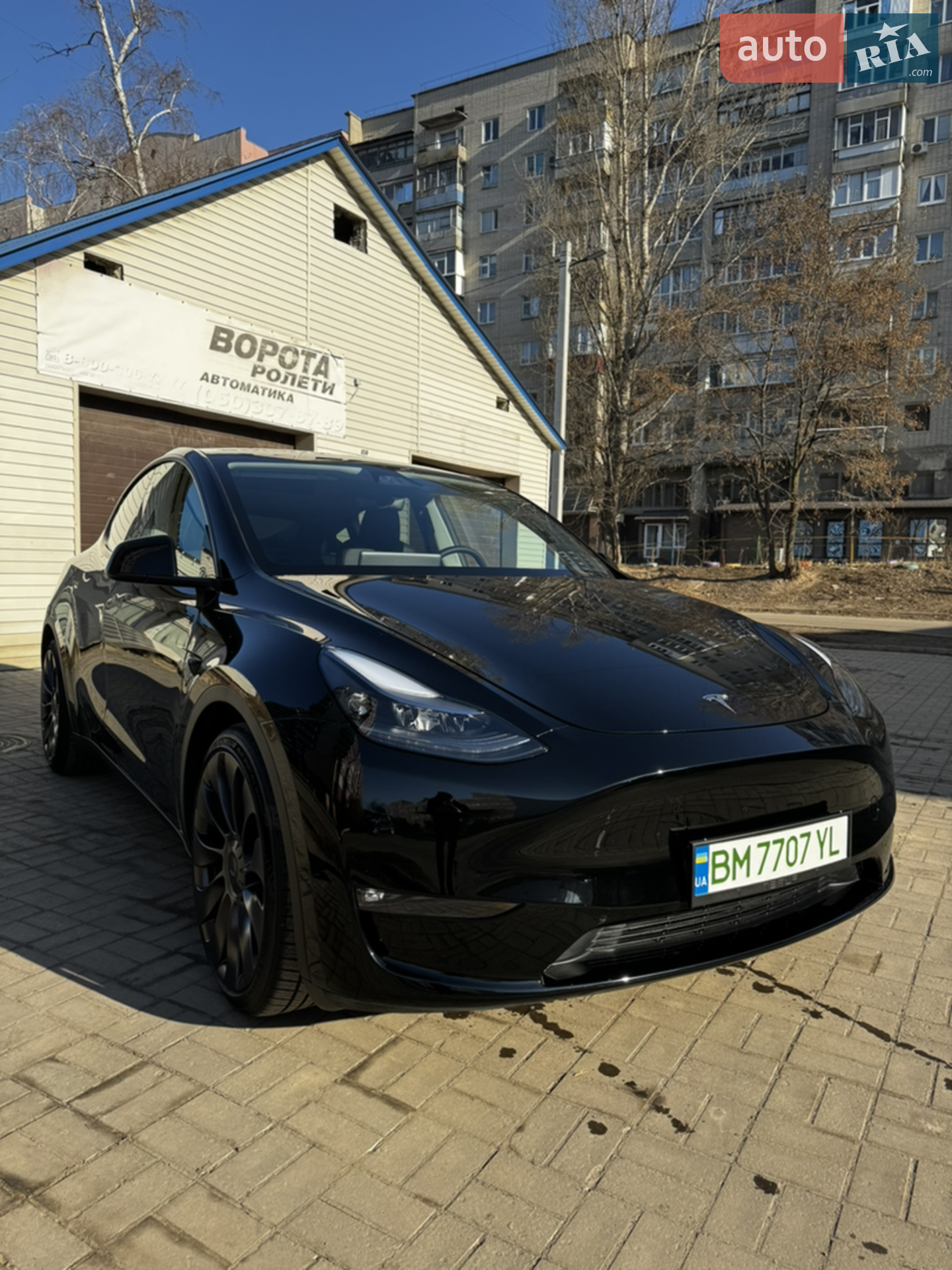 2023 Tesla Model Y - мініатюра 8