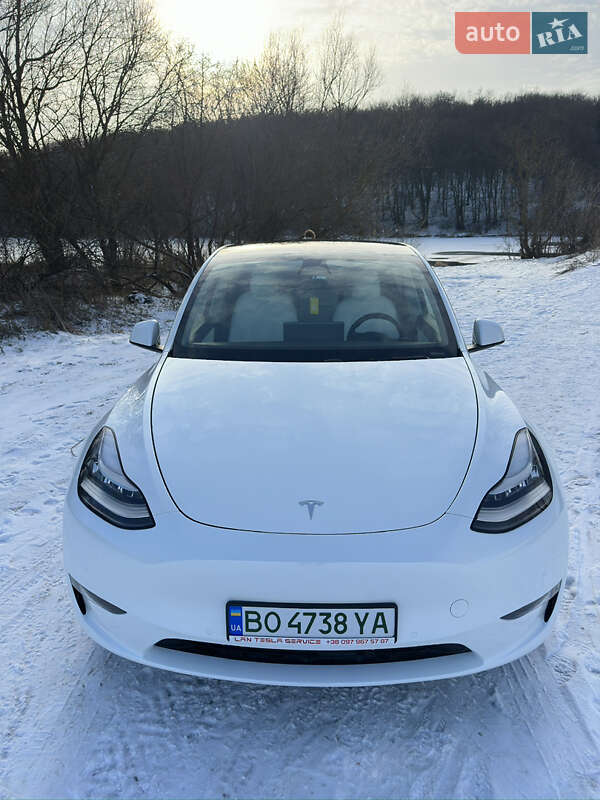 Позашляховик / Кросовер Tesla Model Y 2020 в Тернополі фото 3 Позашляховик / Кросовер Tesla Model Y 2020 в Тернополі