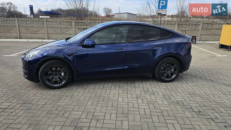Позашляховик / Кросовер Tesla Model Y 2022 в Запоріжжі