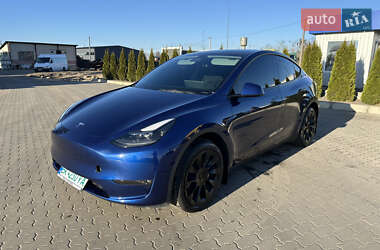 Внедорожник / Кроссовер Tesla Model Y 2023 в Сарнах