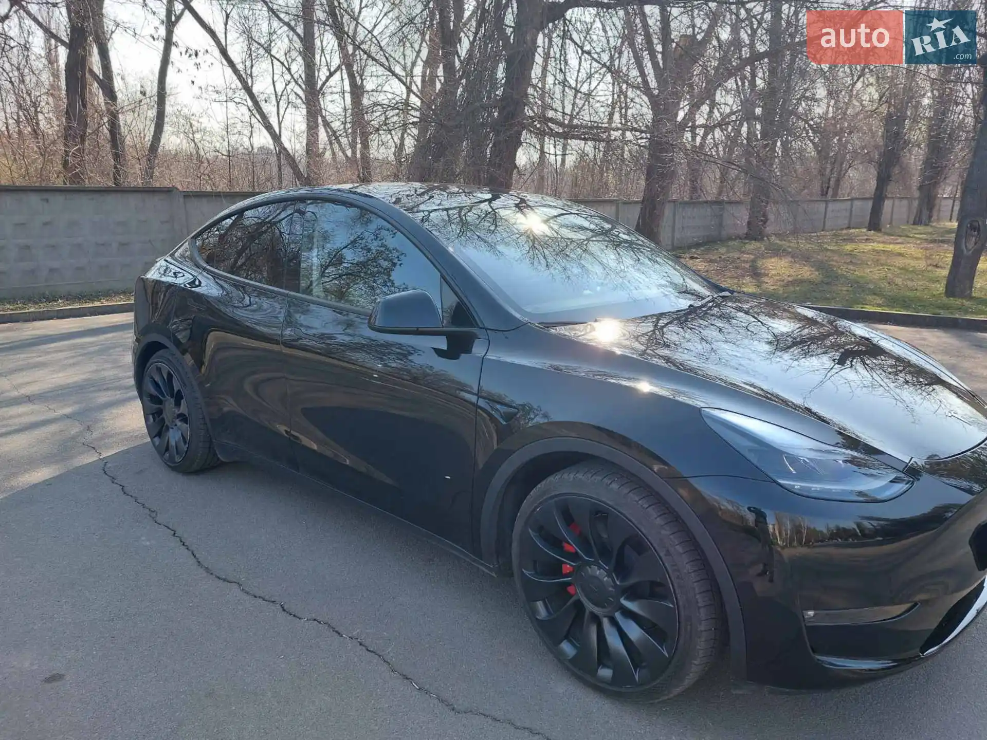 2023 Tesla Model Y - мініатюра 6