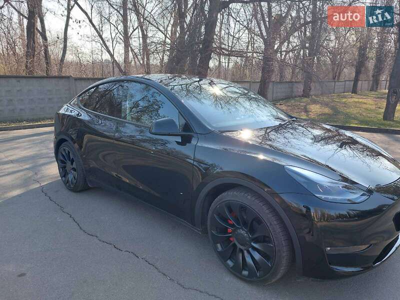 Внедорожник / Кроссовер Tesla Model Y 2023 в Кривом Роге