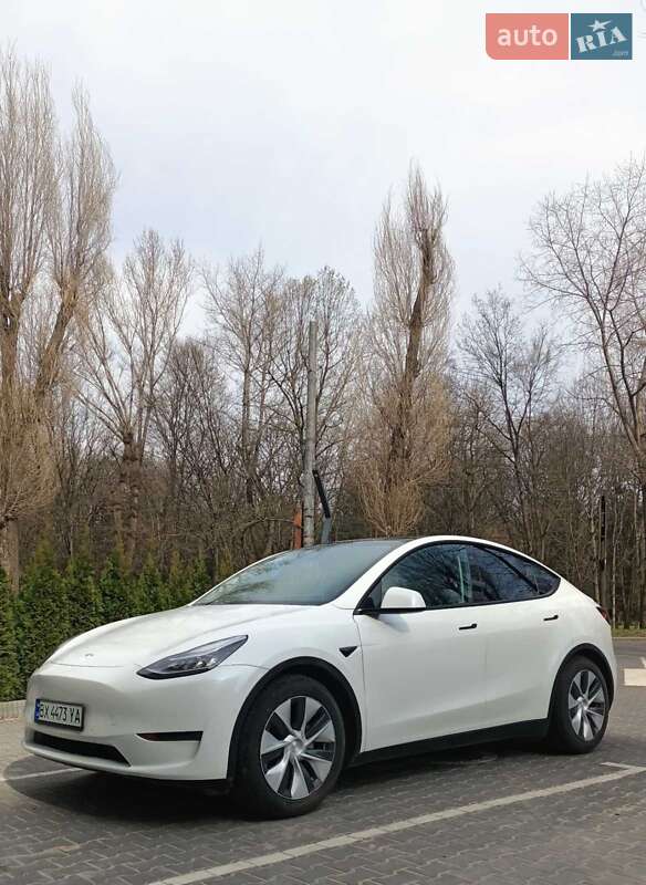 Внедорожник / Кроссовер Tesla Model Y 2020 в 