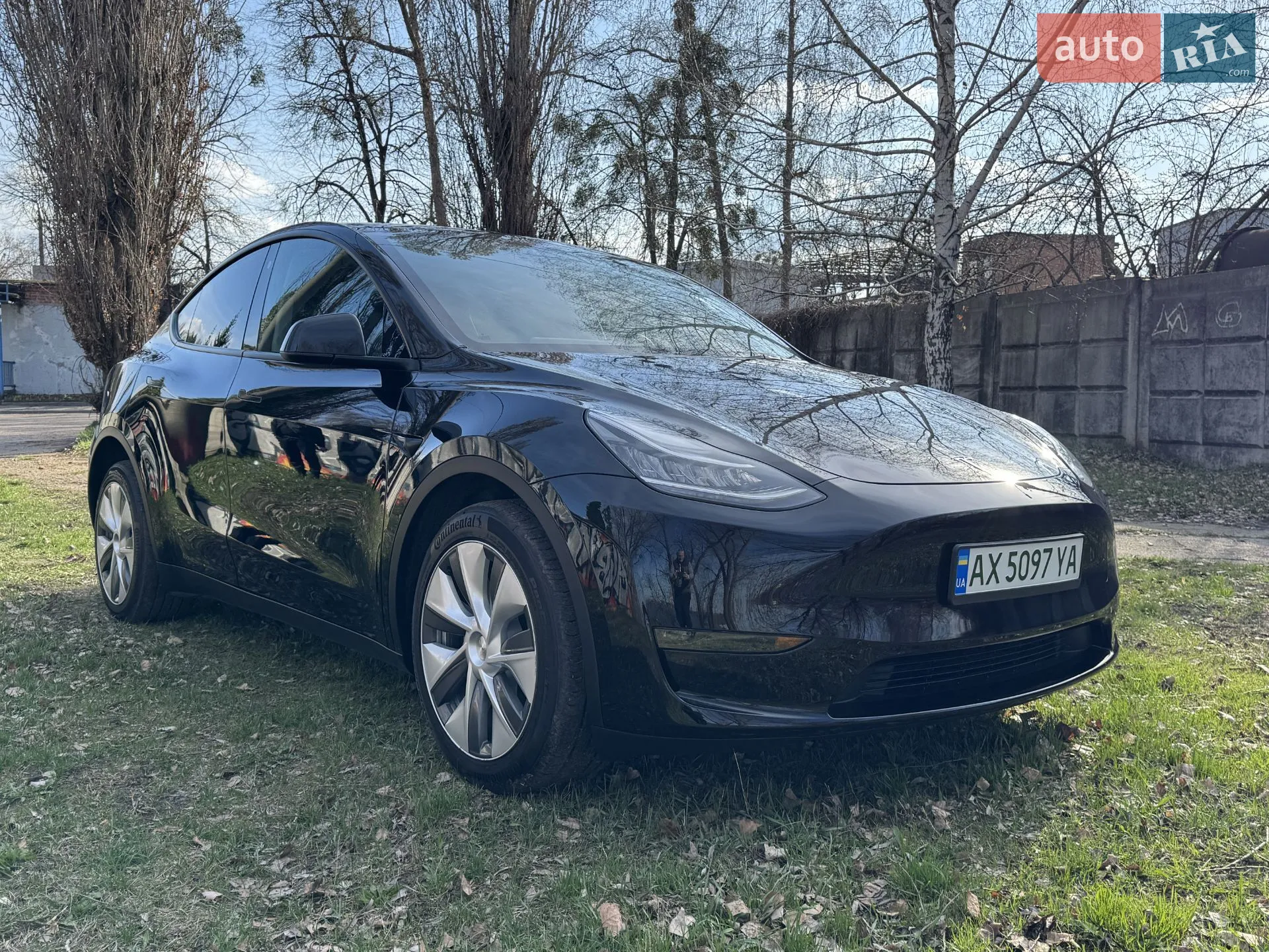 2023 Tesla Model Y - фото 1