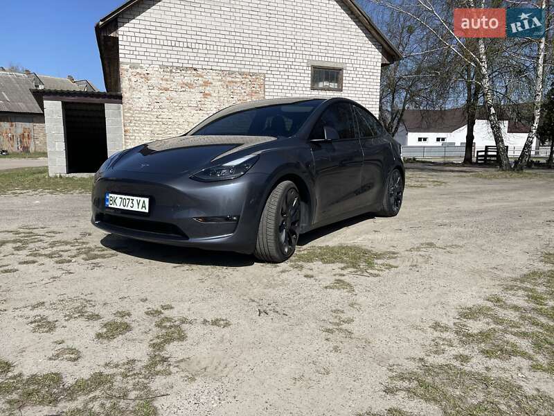 Внедорожник / Кроссовер Tesla Model Y 2023 в 
