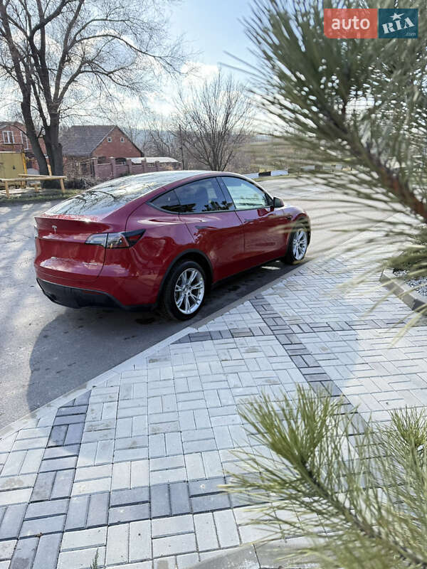 Внедорожник / Кроссовер Tesla Model Y 2023 в Днепре