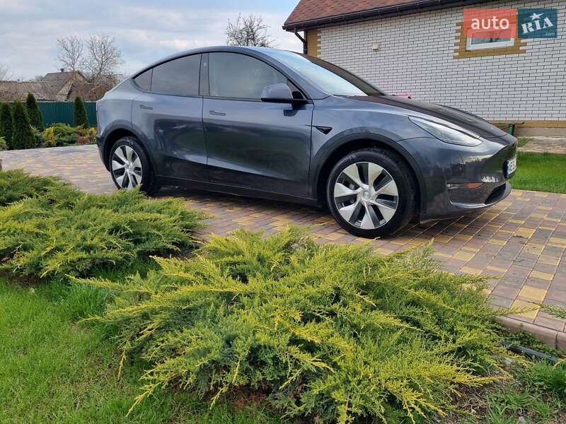 Позашляховик / Кросовер Tesla Model Y 2023 в Самарі
