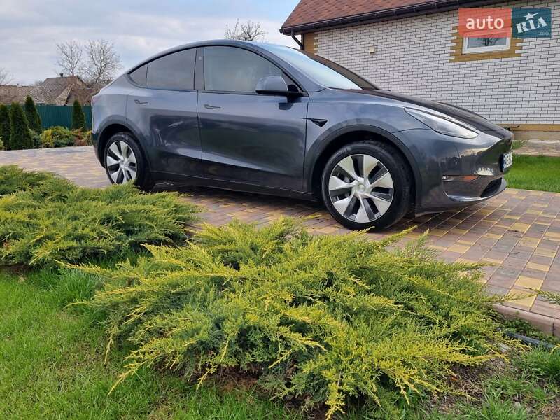 Внедорожник / Кроссовер Tesla Model Y 2023 в Новомосковске