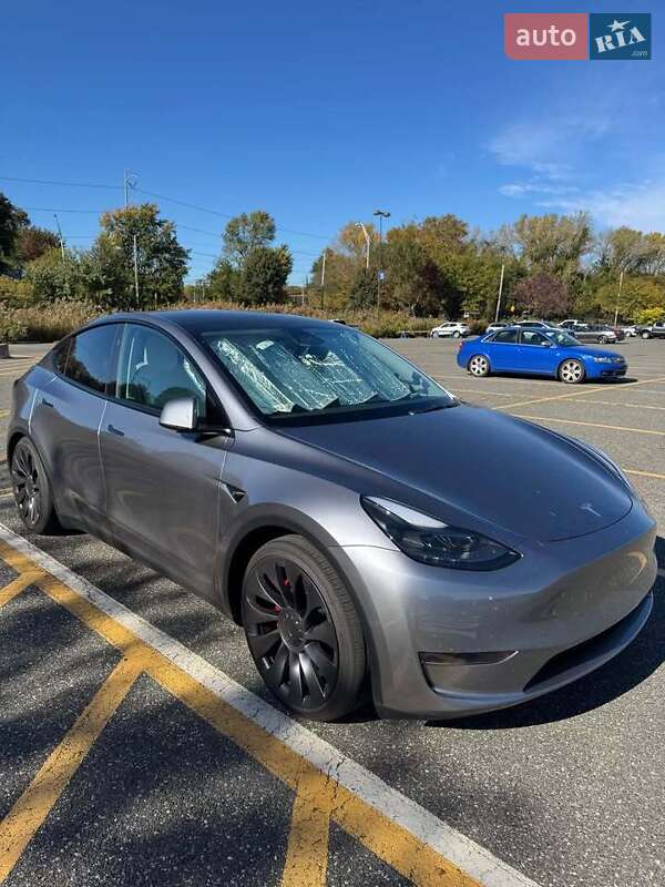 Внедорожник / Кроссовер Tesla Model Y 2024 в 