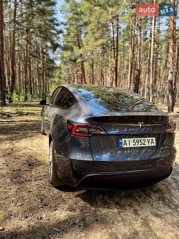 Внедорожник / Кроссовер Tesla Model Y 2023 в Киеве