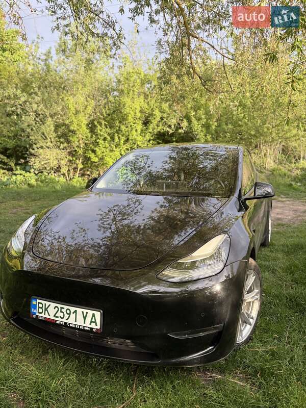 Внедорожник / Кроссовер Tesla Model Y 2020 в Ровно