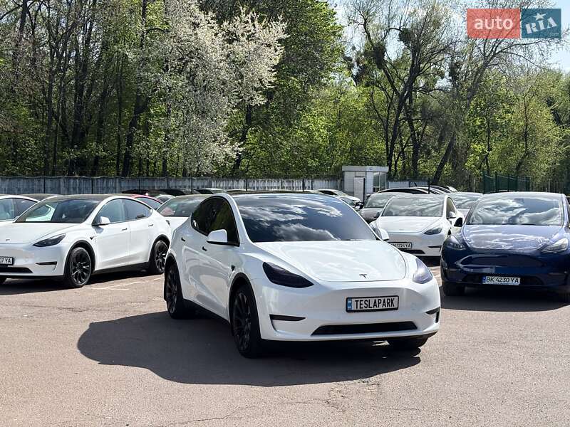 Позашляховик / Кросовер Tesla Model Y 2021 в Києві