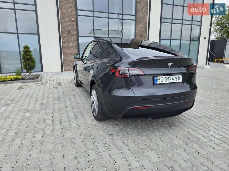 Внедорожник / Кроссовер Tesla Model Y 2024 в Тернополе