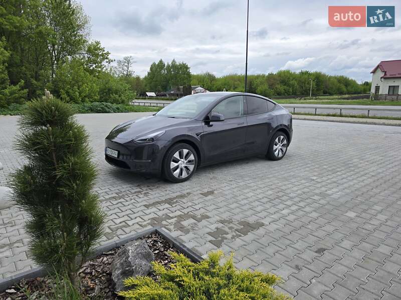Внедорожник / Кроссовер Tesla Model Y 2024 в Тернополе