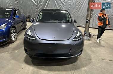 Позашляховик / Кросовер Tesla Model Y 2023 в Рівному
