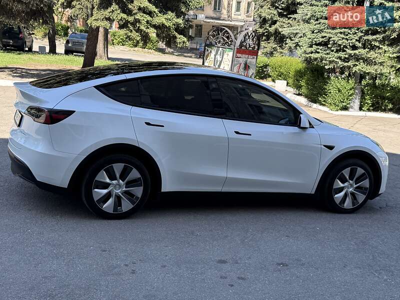 Позашляховик / Кросовер Tesla Model Y 2021 в Кам'янському