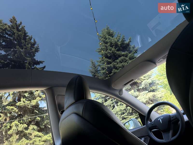 Позашляховик / Кросовер Tesla Model Y 2021 в Кам'янському