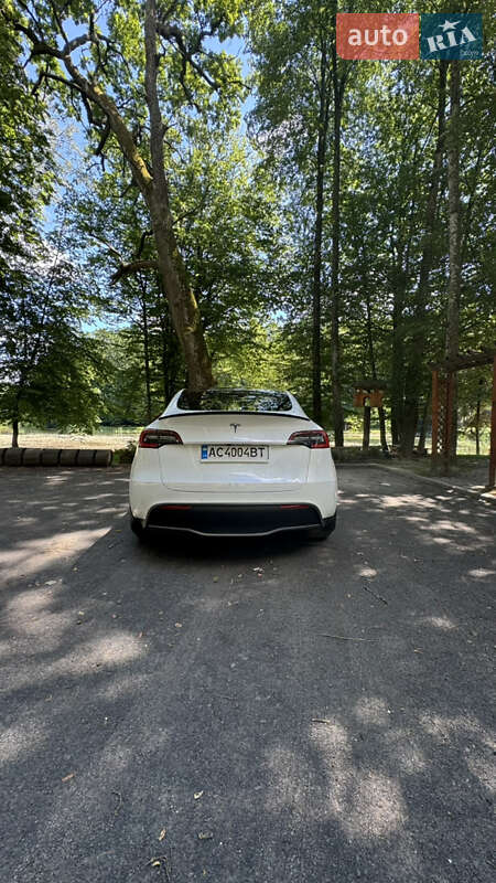 Внедорожник / Кроссовер Tesla Model Y 2020 в Луцке