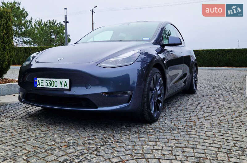 Внедорожник / Кроссовер Tesla Model Y 2022 в Днепре