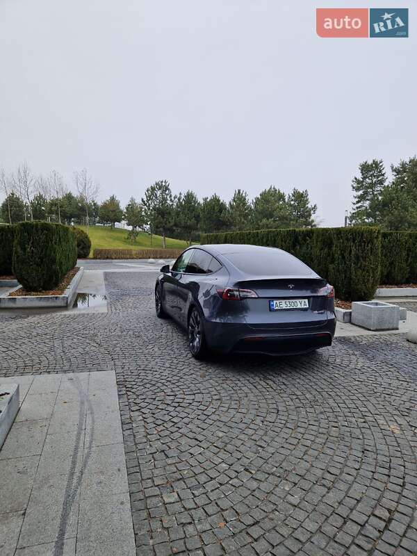 Внедорожник / Кроссовер Tesla Model Y 2022 в Днепре