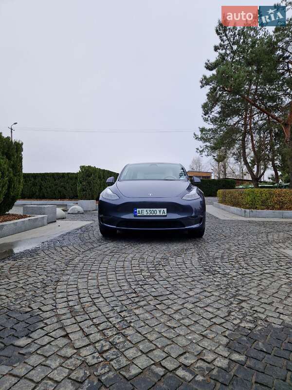 Внедорожник / Кроссовер Tesla Model Y 2022 в Днепре