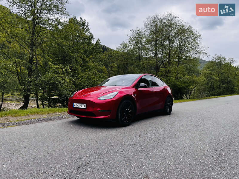 Внедорожник / Кроссовер Tesla Model Y 2023 в Межгорье
