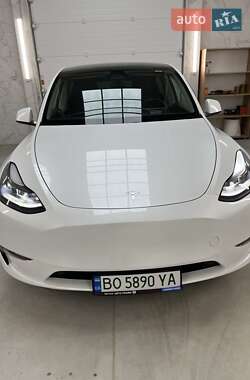 Внедорожник / Кроссовер Tesla Model Y 2024 в 
