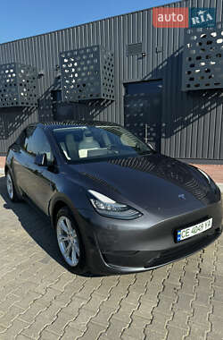 Внедорожник / Кроссовер Tesla Model Y 2020 в 