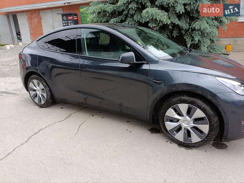 Внедорожник / Кроссовер Tesla Model Y 2024 в Виннице