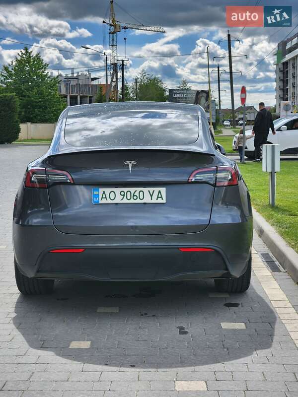 Внедорожник / Кроссовер Tesla Model Y 2021 в Ужгороде