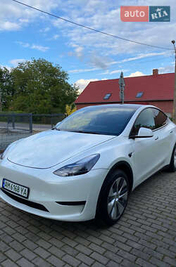Внедорожник / Кроссовер Tesla Model Y 2024 в Львове