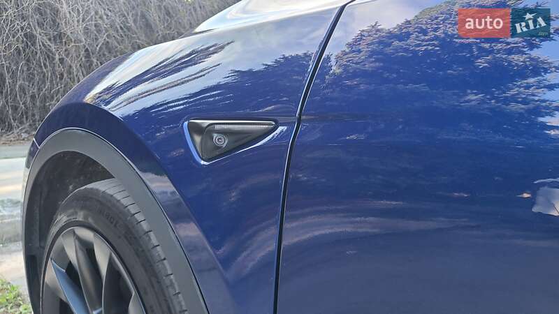 Позашляховик / Кросовер Tesla Model Y 2020 в Дніпрі