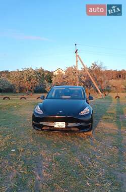 Позашляховик / Кросовер Tesla Model Y 2020 в 