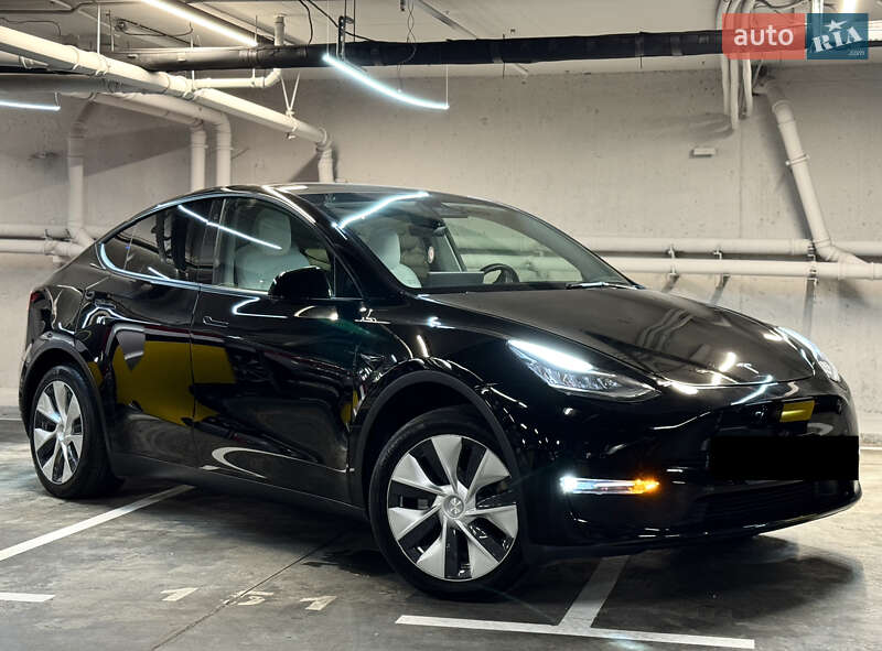 Внедорожник / Кроссовер Tesla Model Y 2021 в Днепре