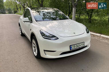 Позашляховик / Кросовер Tesla Model Y 2021 в 