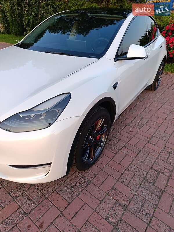 Позашляховик / Кросовер Tesla Model Y 2024 в Києві