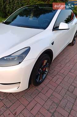 Внедорожник / Кроссовер Tesla Model Y 2024 в 