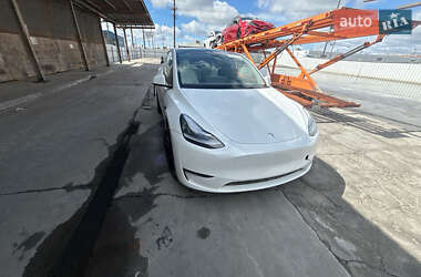 Внедорожник / Кроссовер Tesla Model Y 2023 в Киеве