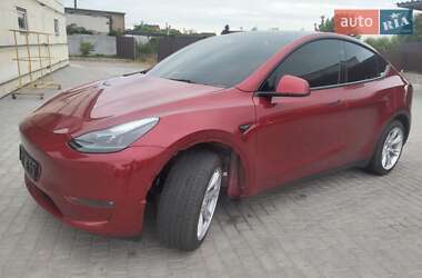 Tesla Model Y 2024 Tesla Model Y 2024
