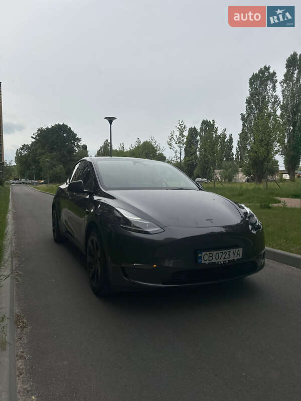 Позашляховик / Кросовер Tesla Model Y 2024 в Чернігові