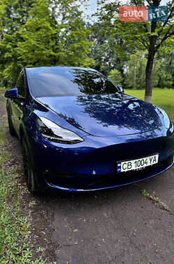 Внедорожник / Кроссовер Tesla Model Y 2024 в Нежине