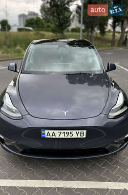 Внедорожник / Кроссовер Tesla Model Y 2023 в 